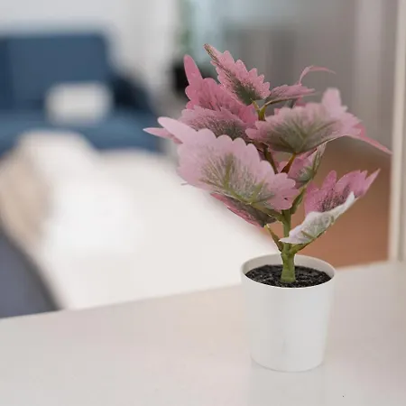 Guestready - Modernity Near Arrabida Shopping 公寓